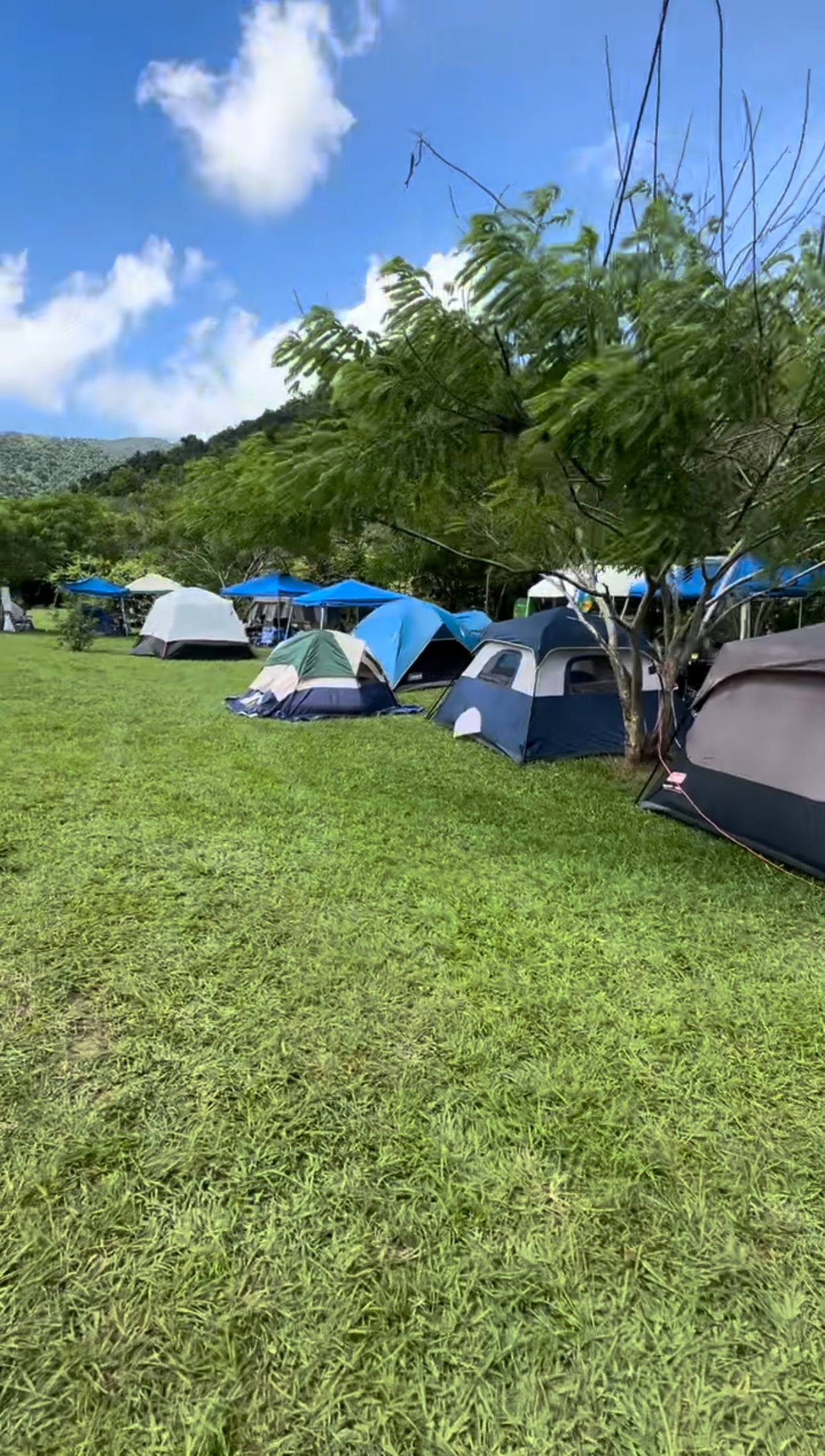 MEMBRESÍA FINCA YUNQUE SUR